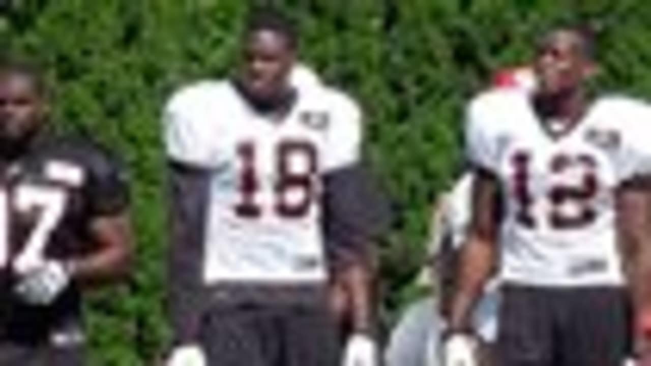 Bengals' Drue Chrisman returns to training camp after 'freak thing.'