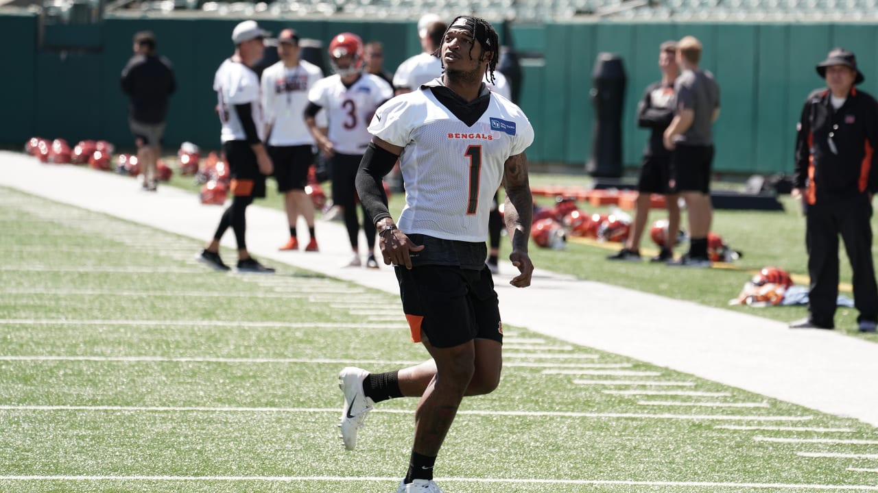 Bengals powered by 3 young stars: Burrow, Chase, Higgins