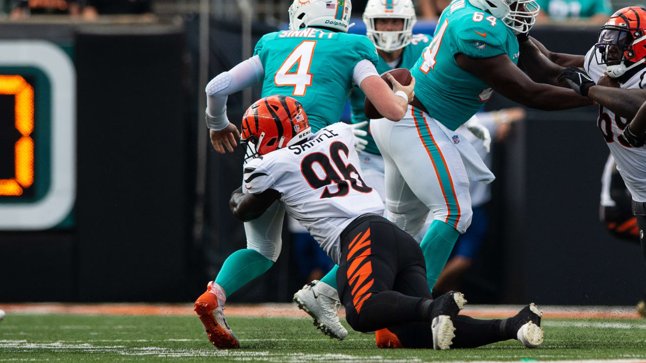 Bengals break attendance record in win over Dolphins - Cincy Jungle