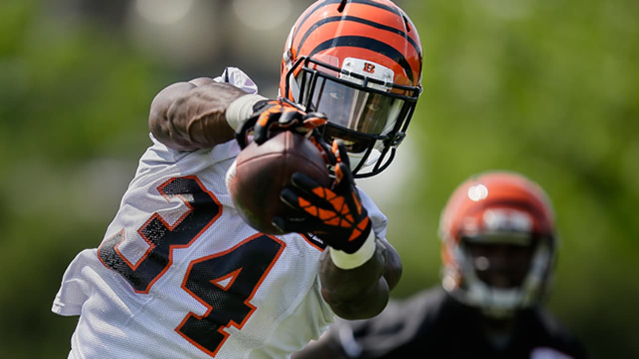 Bengals stay pat, but get their practice squad