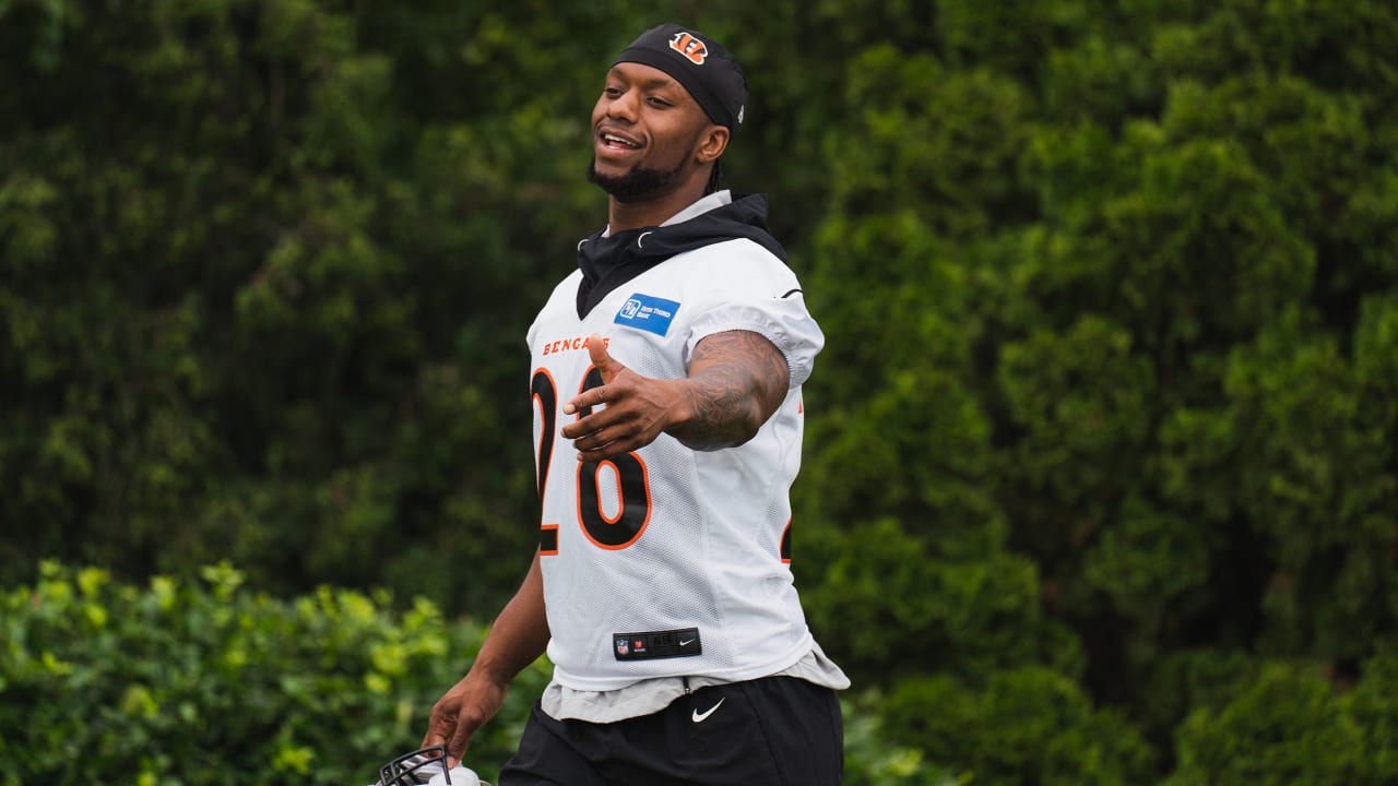 Bills-Bengals Player Prop: Joe Mixon, Cincinnati's X-Factor