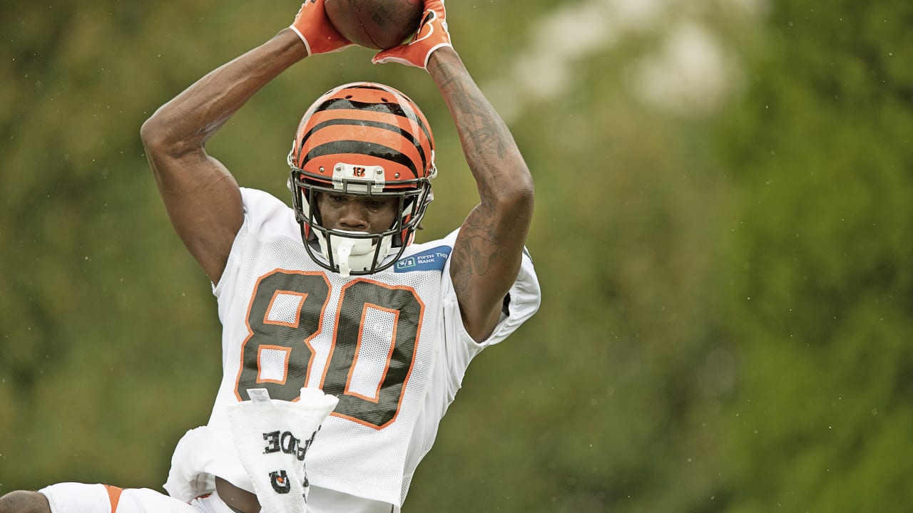 Cincinnati Bengals cuts on NFL roster cutdown day