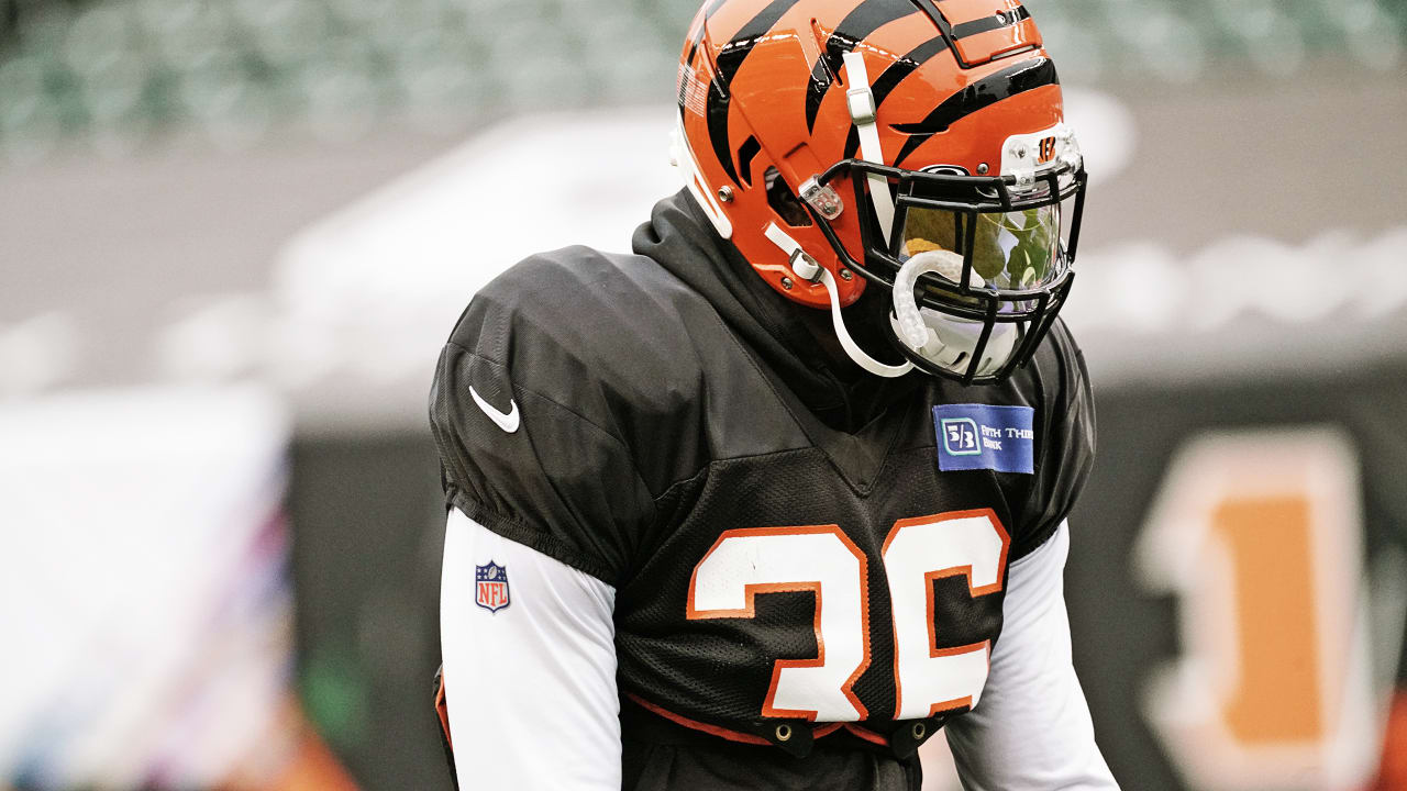 Cincinnati Bengals on X: 49 days until we're back in The Jungle