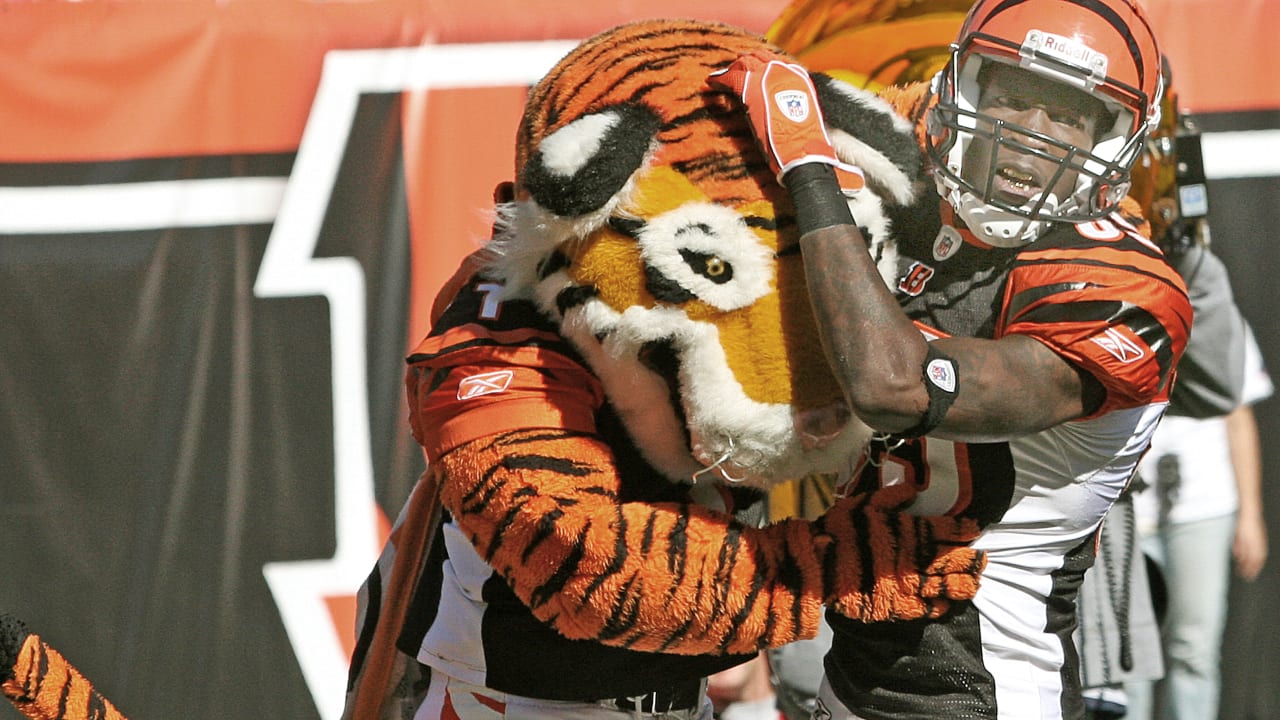 Through The Years  Best Images of Who Dey