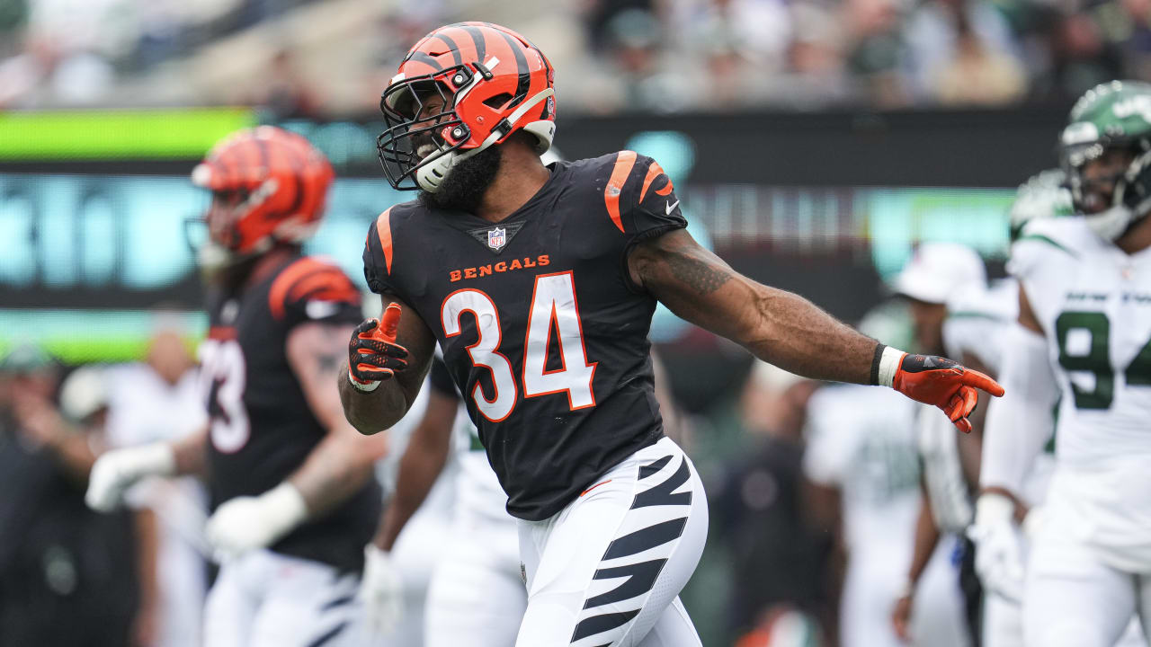 Cincinnati Bengals running back Samaje Perine (34) celebrates