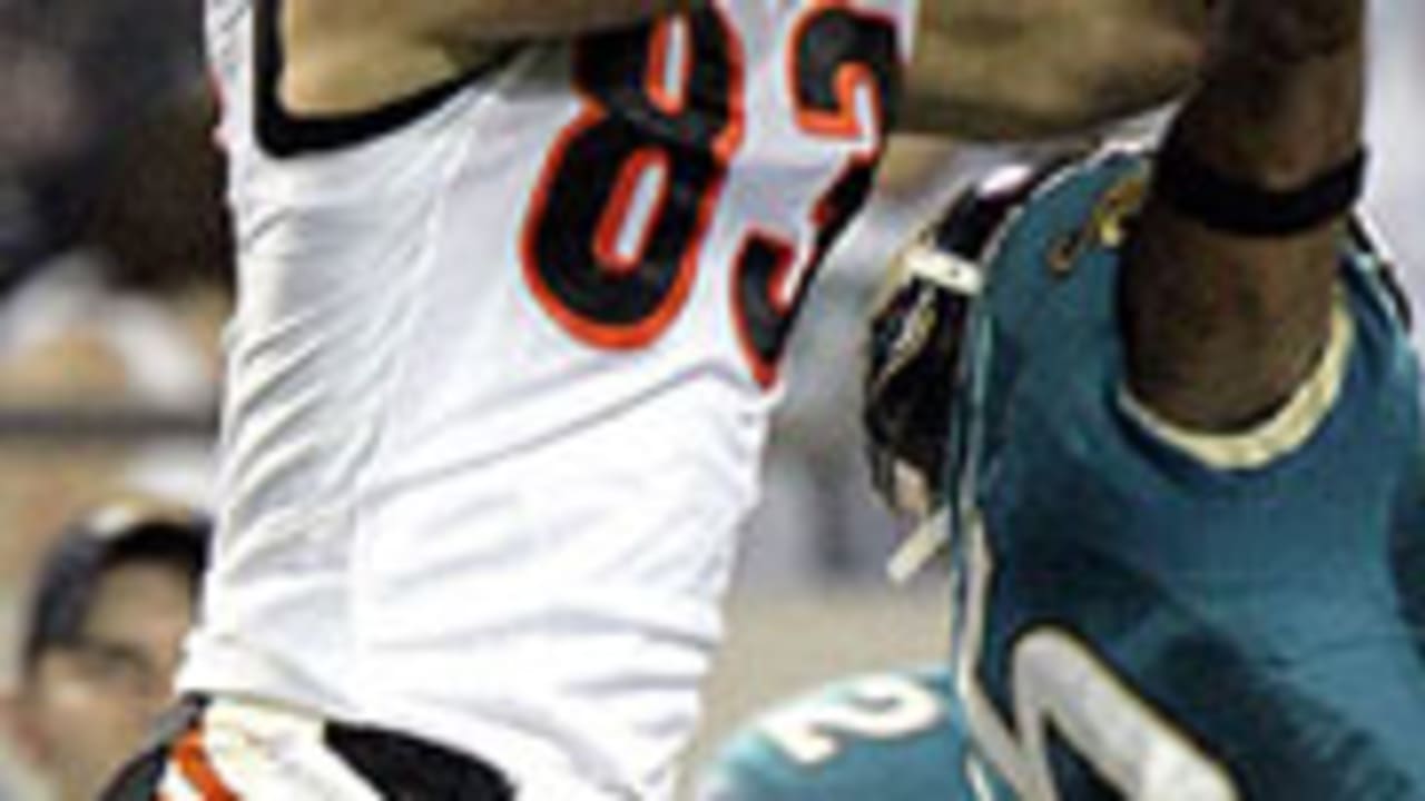 Cincinnati Bengals defensive end Jonathan Fanene (68) during an