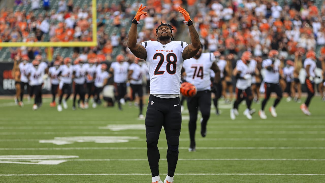 Fans from near and far prepare to cheer on the Bengals on Saturday