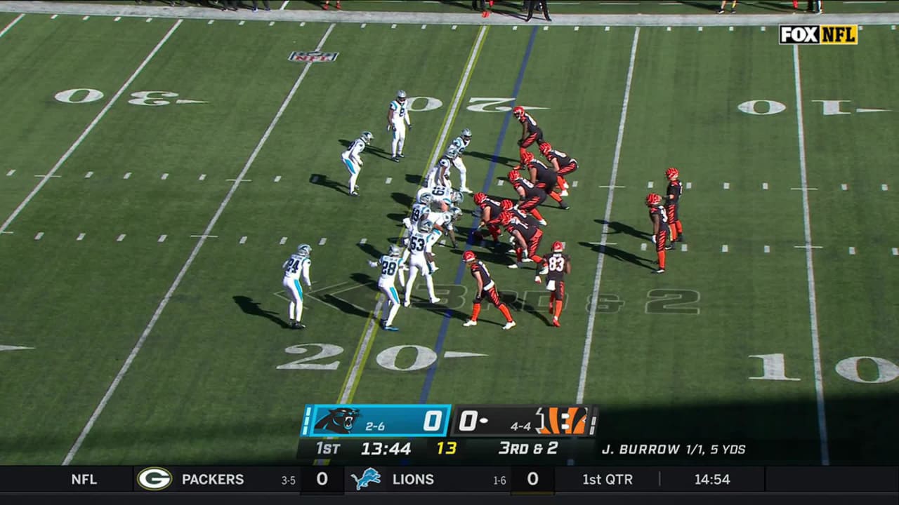 Top Plays  Week 9 Bengals Highlights vs. Carolina Panthers