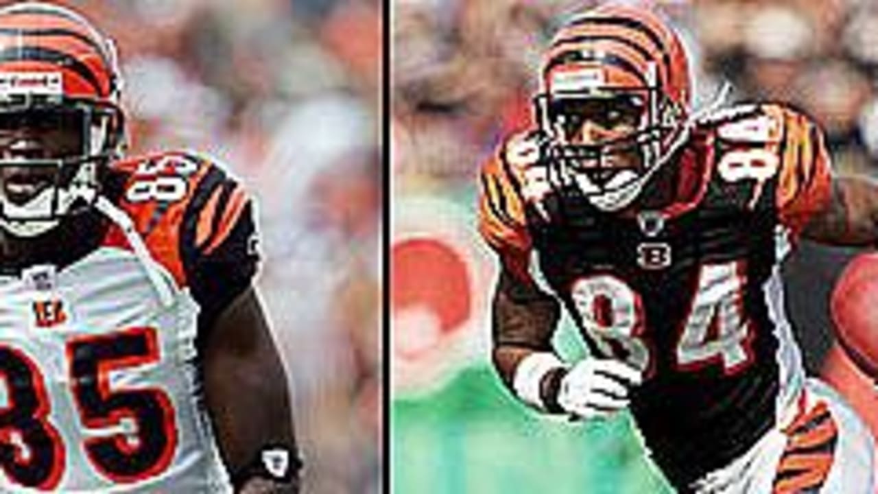 T.J. Houshmandzadeh Says Terrell Owens Can Still Play In NFL, 'He