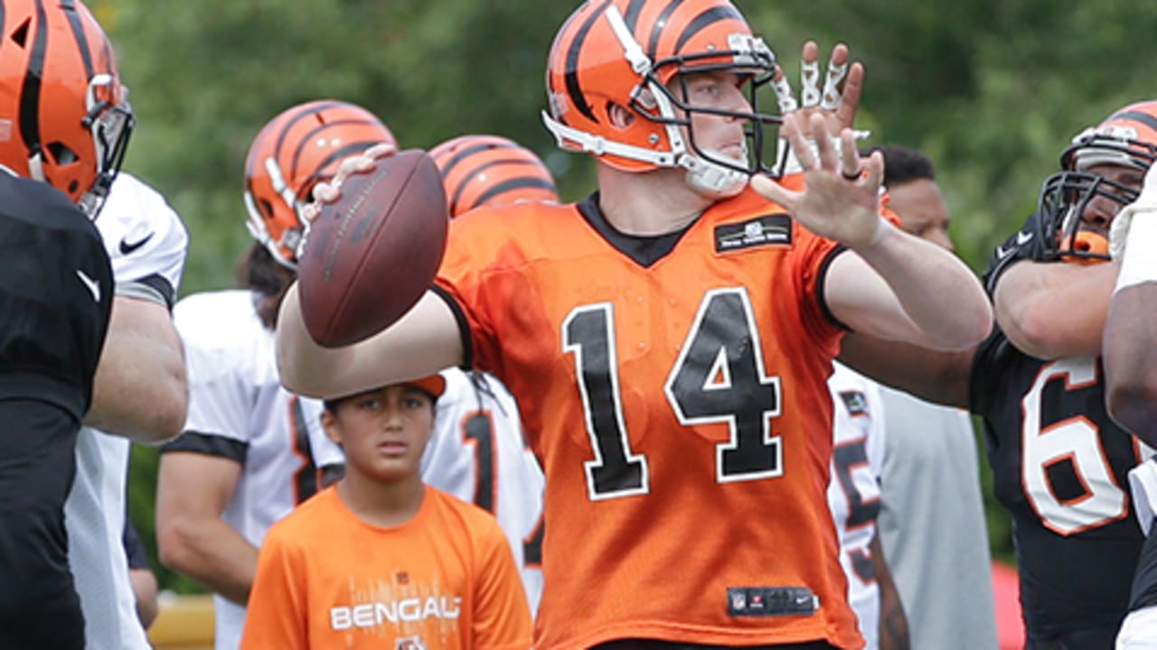 Manning, Palmer sit out Bengals' 14-6 win over Colts