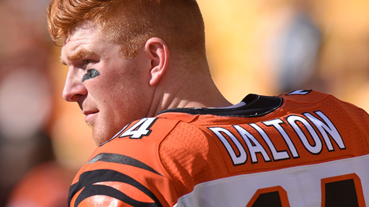 Andy Dalton Injury: Bengals quarterback injures thumb, 2015 playoff status  uncertain - Baltimore Beatdown