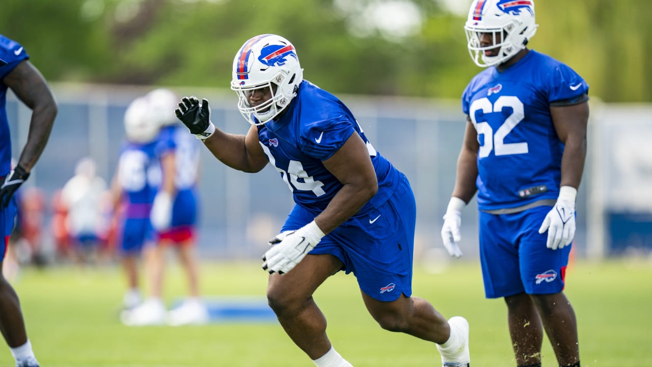 Buffalo Bills defensive tackle Prince Emili (94) and defensive end