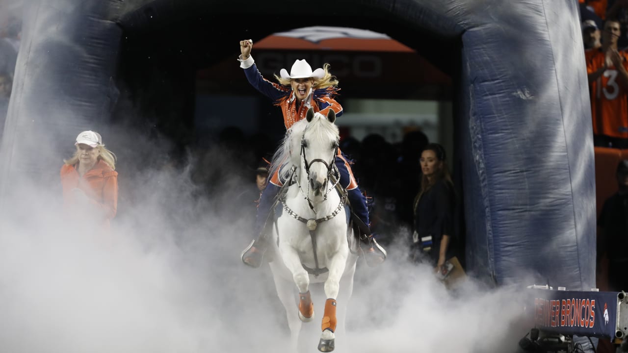 New Mustang Horse Broncos with Orange Mane Mascot Costume Animal