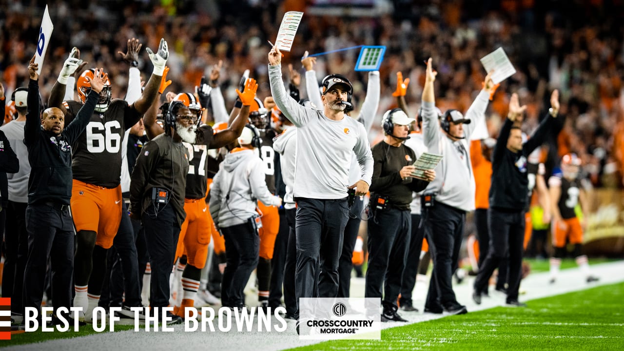 Browns fans celebrate 'Perfect Season