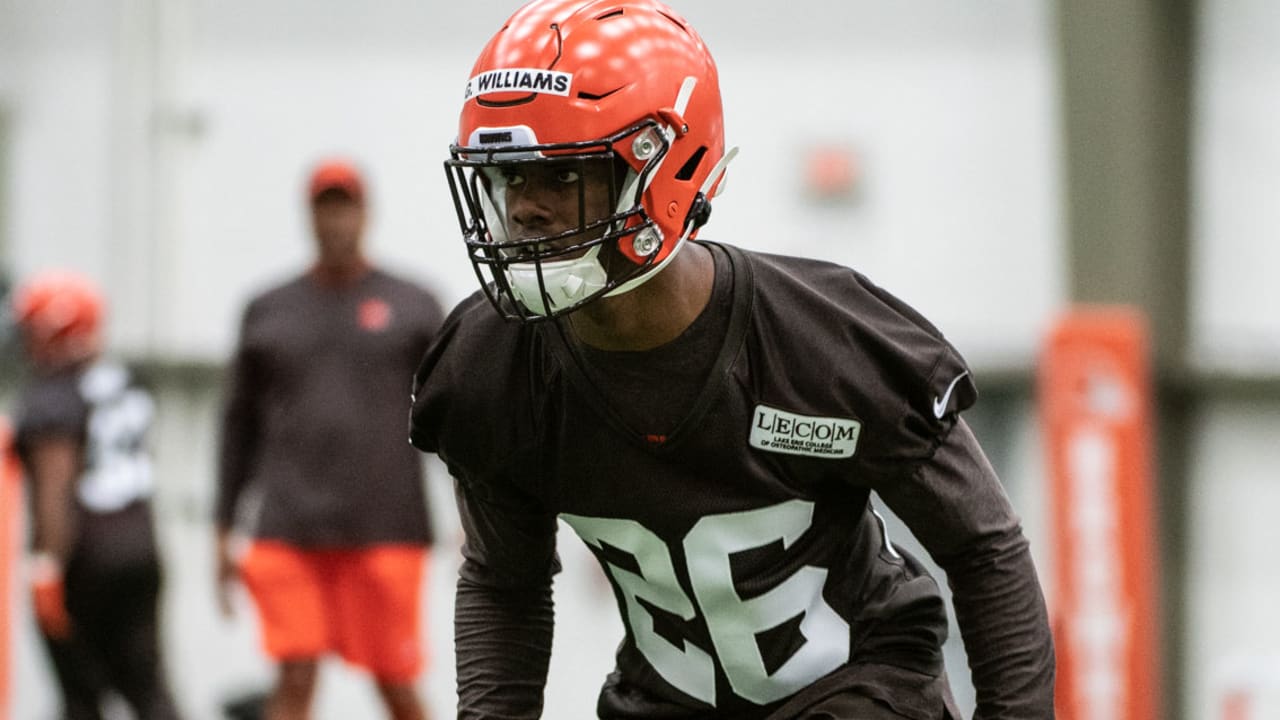 Cleveland Browns' Greedy Williams sidelined in preseason game