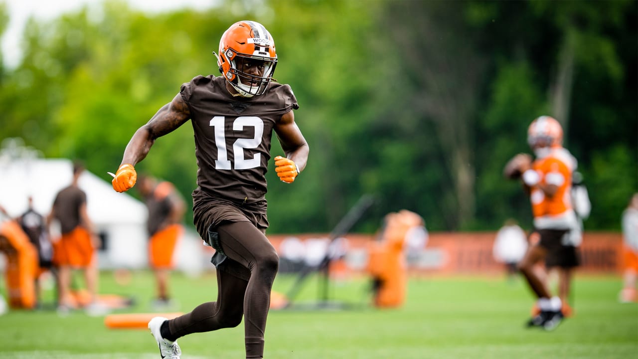 Browns announce expected inactives for first preseason game against Jaguars