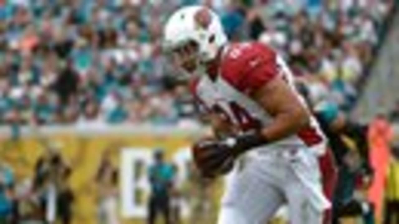 Draft Rewind 2011 - Rob Housler - Arizona Cardinals