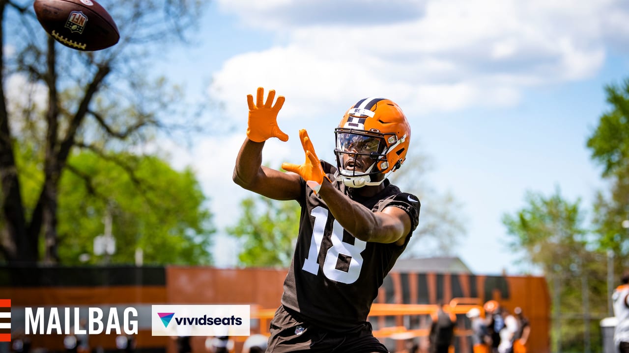 Where Does David Bell Fit In a Crowded Cleveland Browns' Wide Receiver Room?