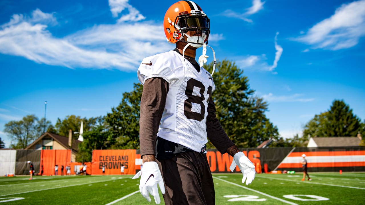 Browns' entire secondary inactive for Sunday Night Football, and so is WR  Rashard Higgins - Dawgs By Nature