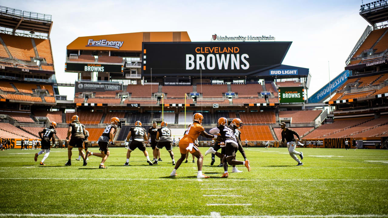 Cleveland Browns Mickey Mouse Cleveland Ohio Firstenergy AFC North