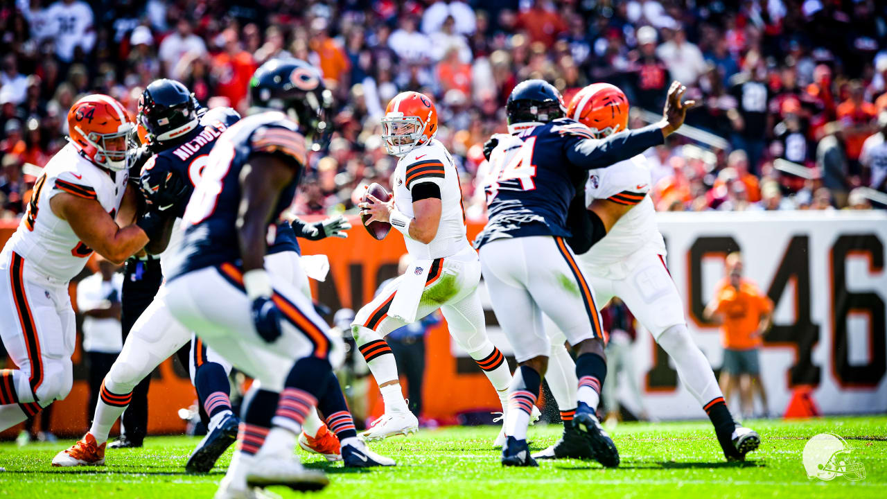 Photos: Preseason Week 3 - Bears at Browns Game Action