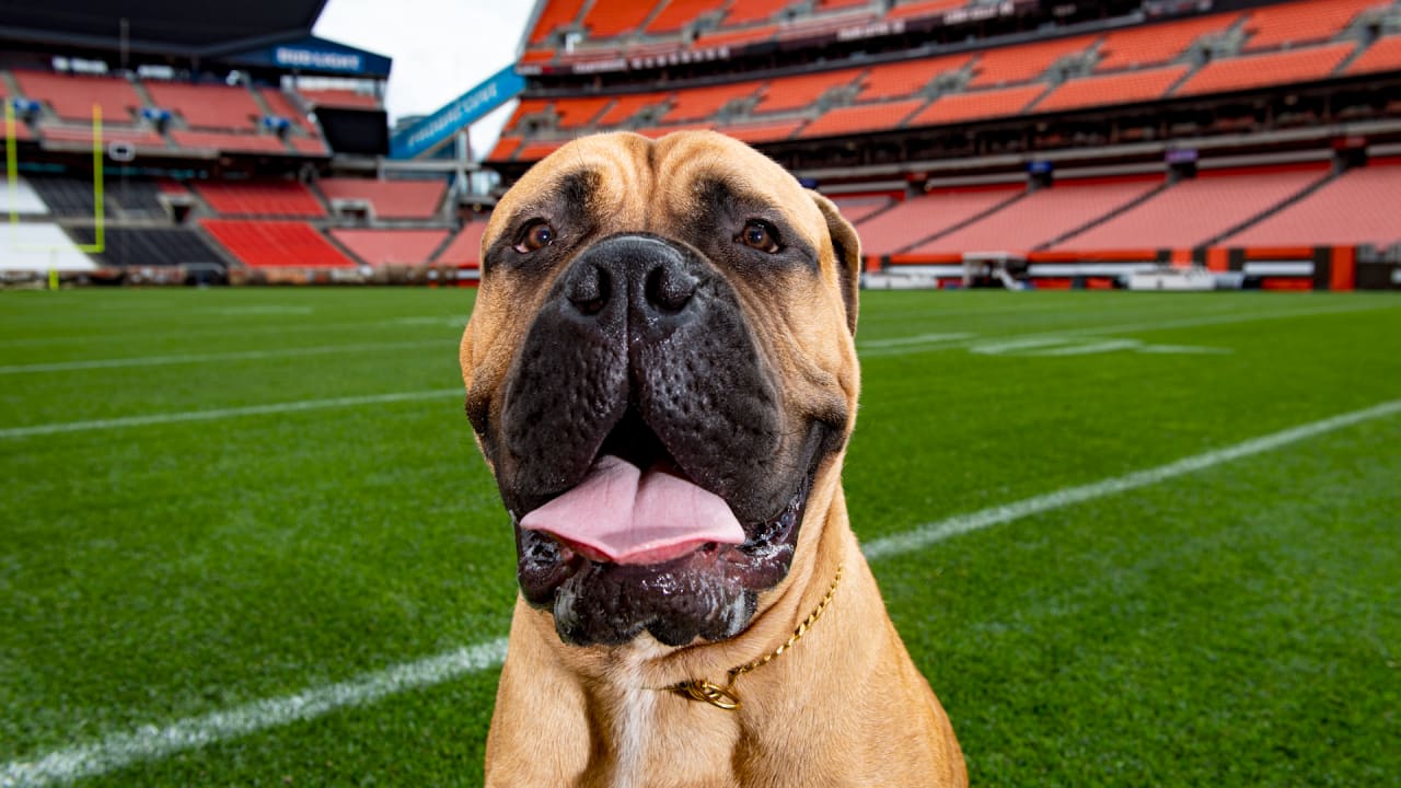 Welcome SJ to the family  Cleveland Browns 