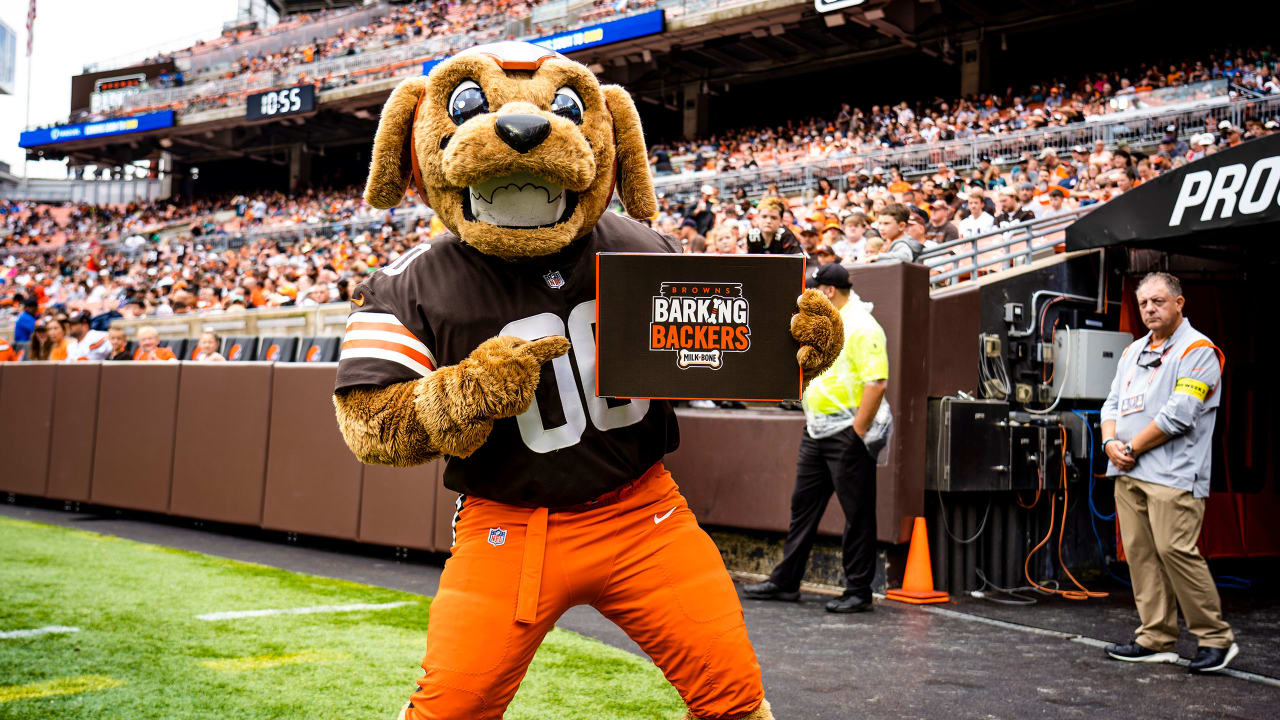 cleveland browns big dog