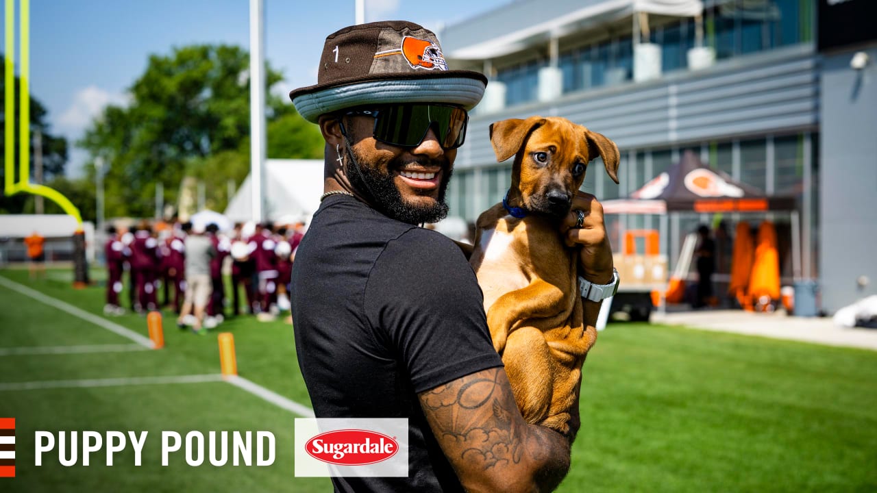 Sugardale Foods - The Sugardale Puppy Pound at Cleveland Browns