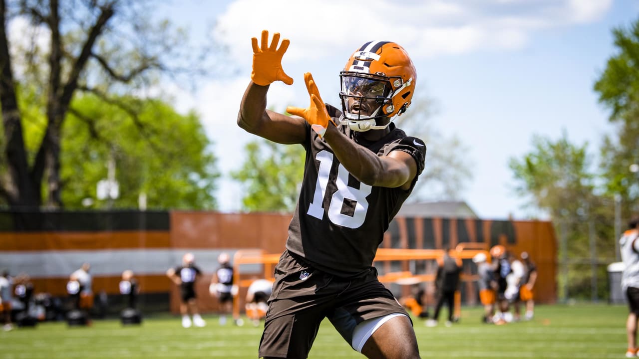 Cleveland Browns receiver David Bell participates in a drill during an NFL  football practice, Friday, May 13, 2022, in Berea, Ohio. (AP Photo/David  Dermer Stock Photo - Alamy