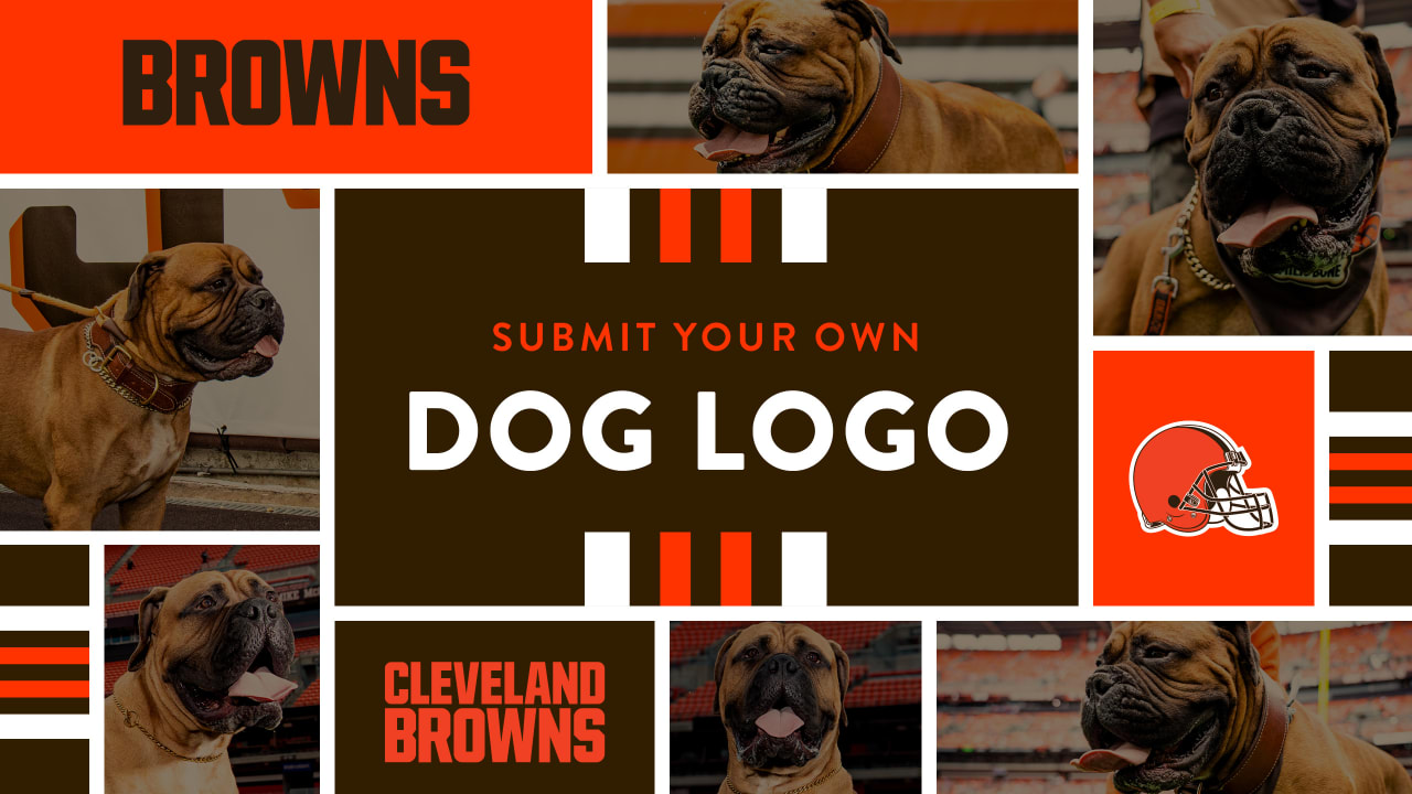 New Browns dog logo: Darcy cartoons 
