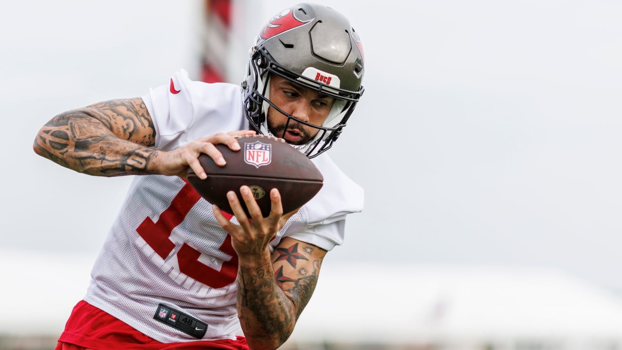 Mike Evans Stats, News and Video - WR