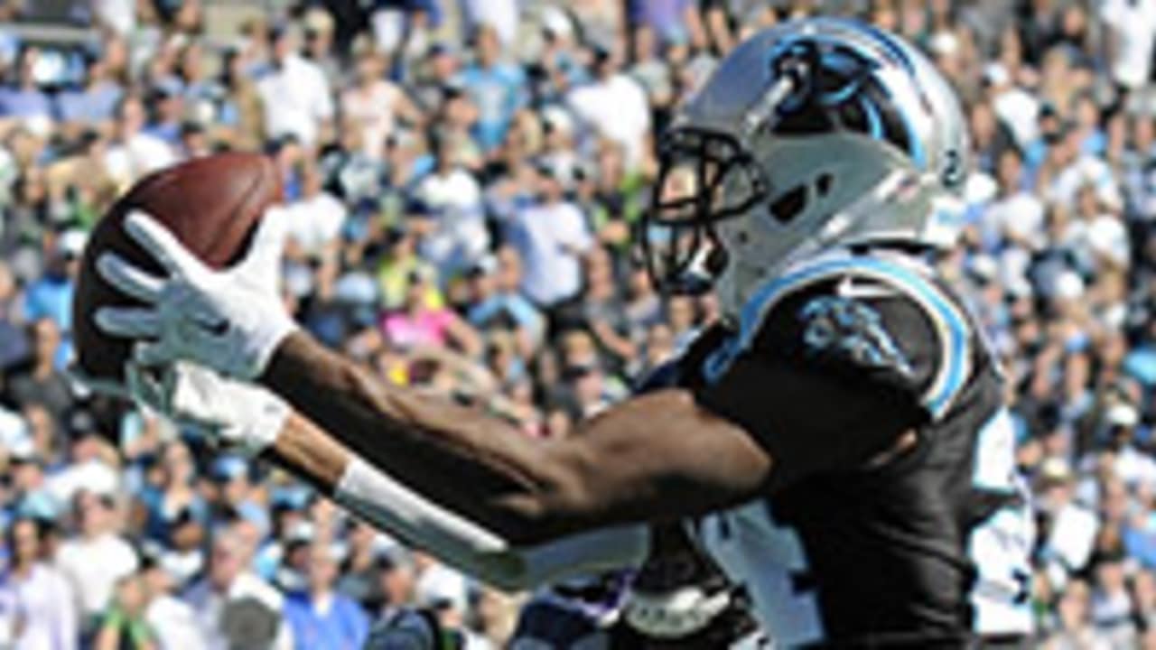 Carolina Panthers punter Brad Nortman (8) during the NFL football