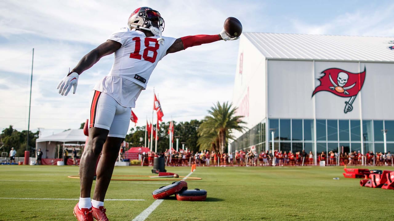 Bucs WR Thompkins impresses at training camp, aims to be All-Pro