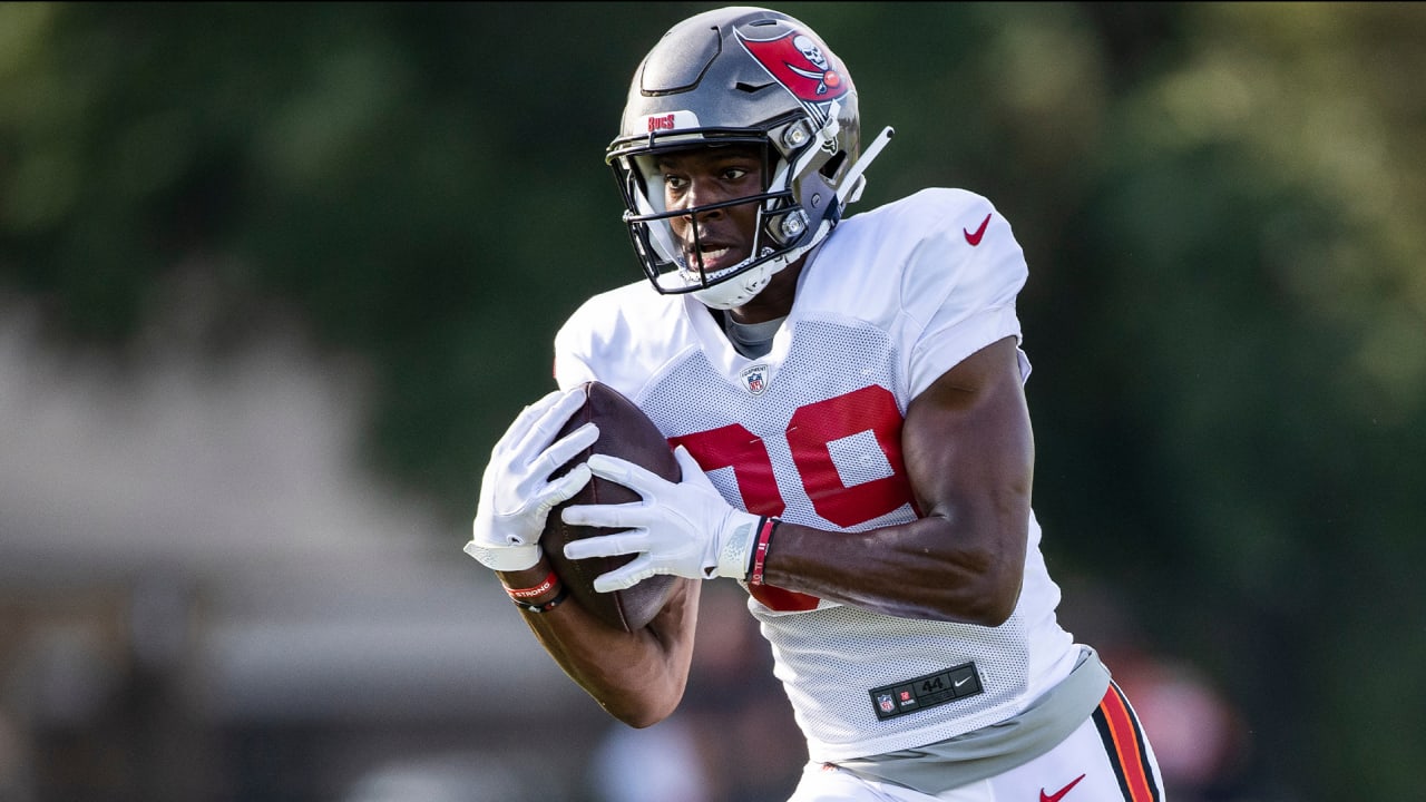 Bucs S Jordan Whitehead, WR Jaelon Darden ruled out for Week 13