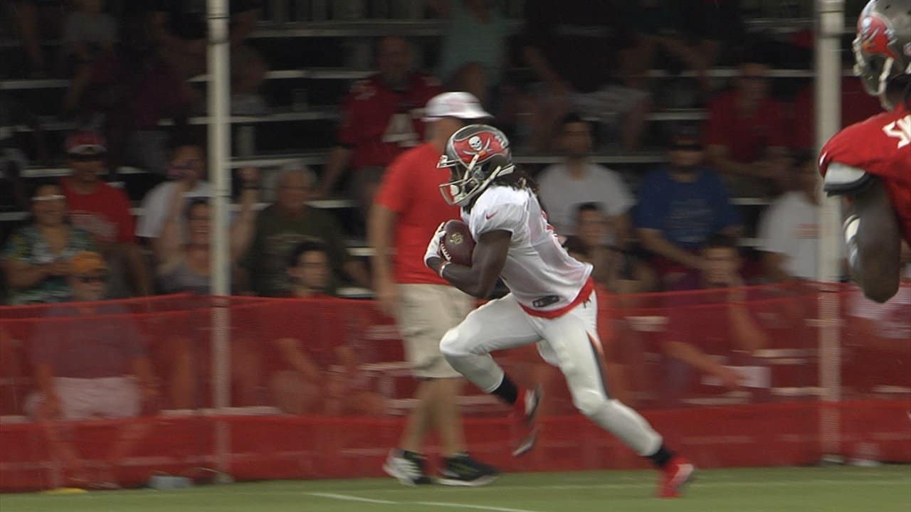 Wide receiver Donteea Dye #17 of the Tampa Bay Buccaneers celebrates a  second quarter touchdown with