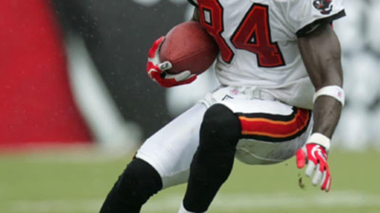 Detroit Lions wide receiver Roy Williams rushes upfield against