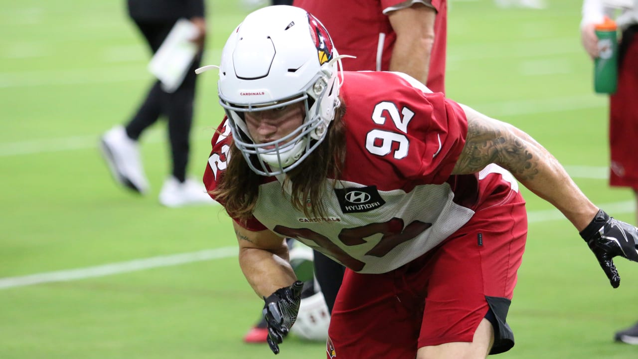 Cardinals' Dennis Gardeck 'sticking to the plan' as he gets back