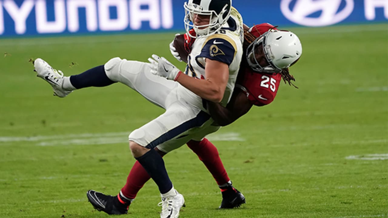 Larry Fitzgerald is a star at everything he does - Revenge of the Birds