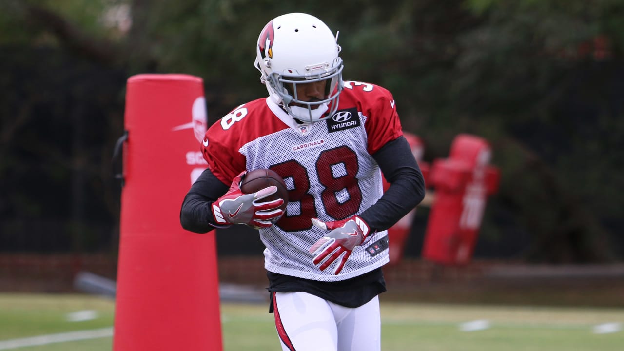 Arizona Cardinals reportedly signing CB David Amerson