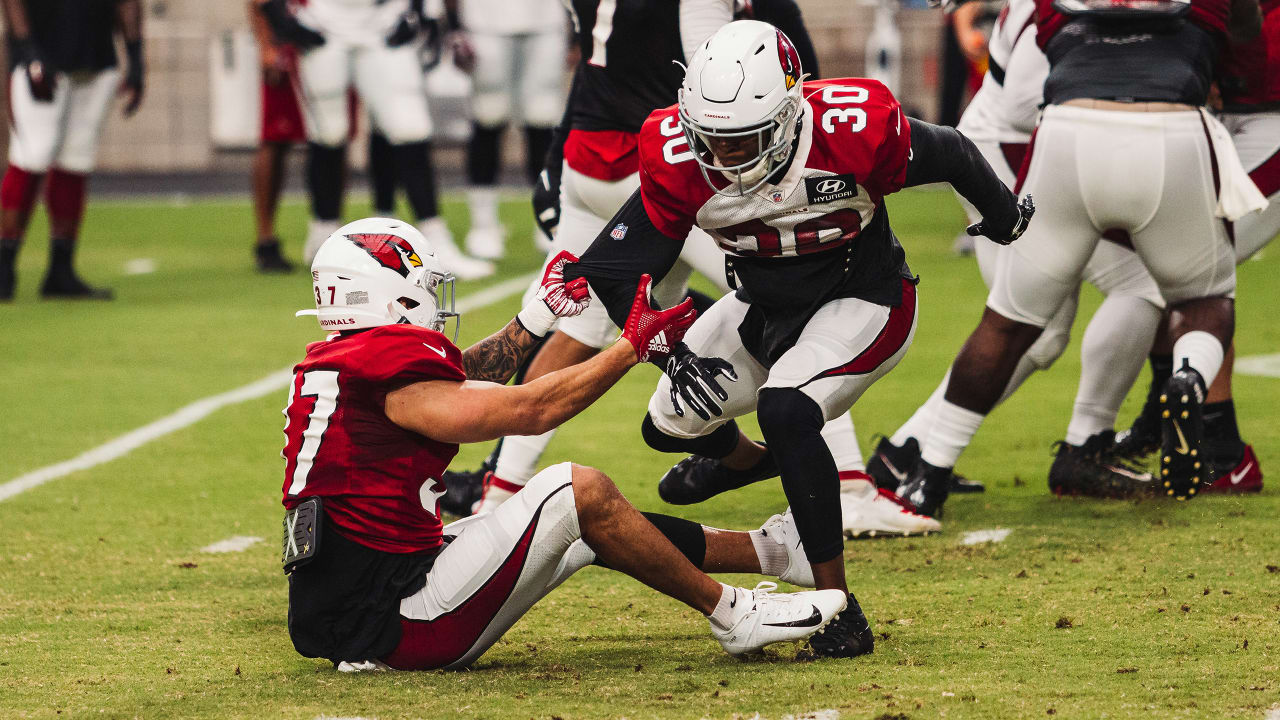 Restacking the Deck: Picking Wins & Losses for the remaining 2022 Arizona  Cardinals - Revenge of the Birds