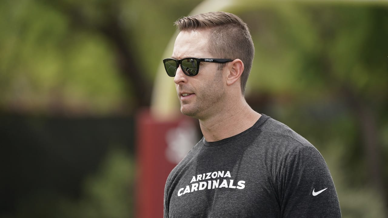 arizona cardinals kliff