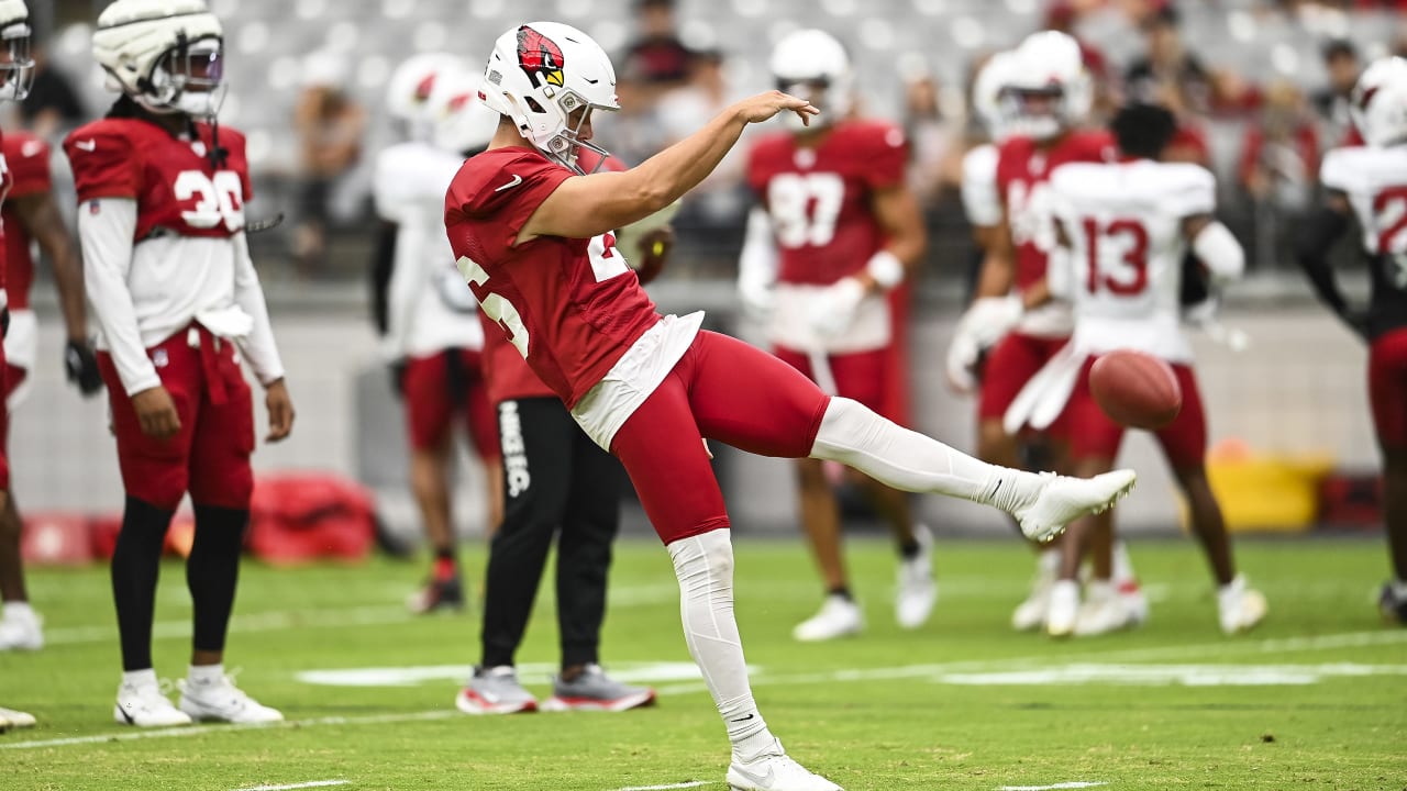 Arizona Cardinals training camp: Andy Lee returns to No. 4