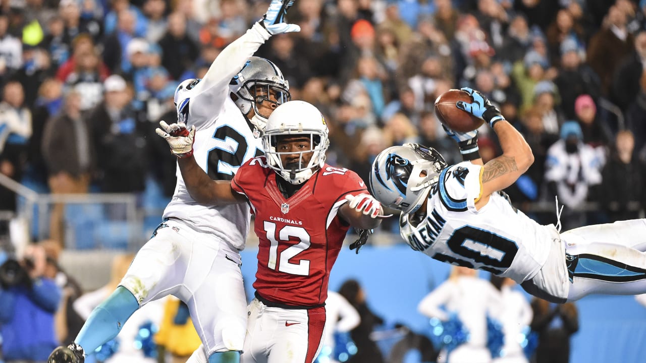 Cardinals vs. Panthers 2016 results: Carolina going to Super Bowl after  huge 49-15 win 