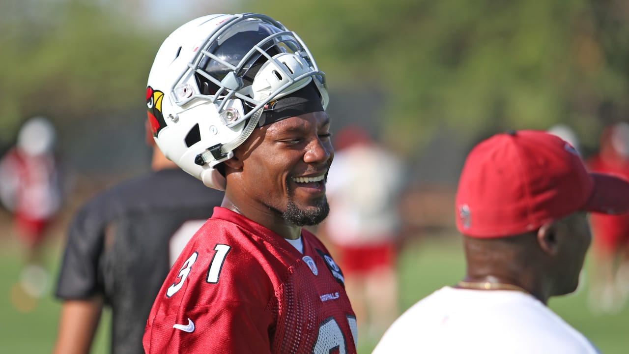 Arizona Cardinals RB David Johnson reports to training camp 