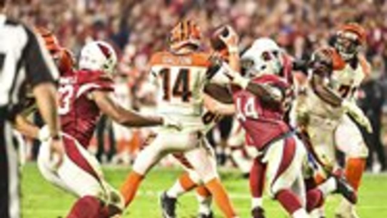 Carson Palmer's Perfect TD Bomb to J.J. Nelson, Bengals vs. Cardinals