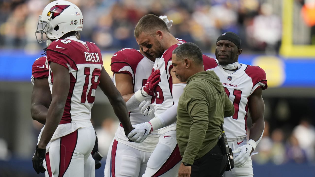 Arizona Cardinals TE Maxx Williams shed tears in return to game action