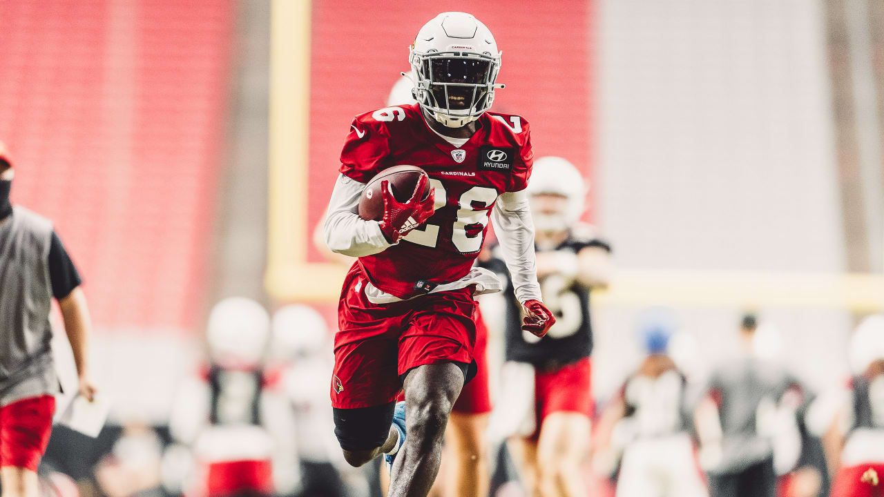 Arizona Cardinals running back Eno Benjamin's best plays in 113