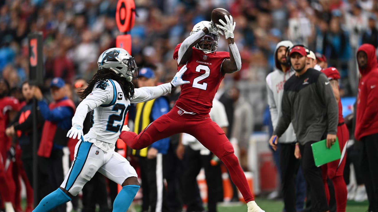 Cardinals Fight Back Against Panthers, And Other Notes From Arizona's ...