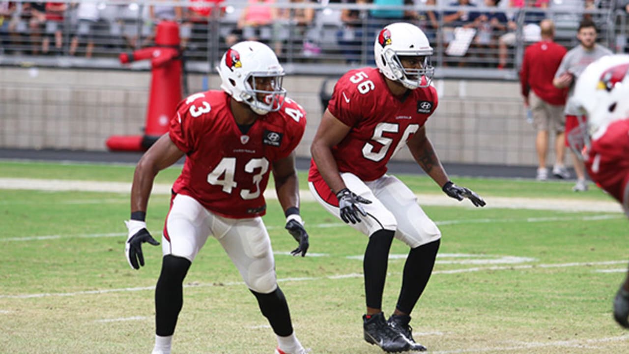 Cardinals Tramon Williams provides an importance veteran presence