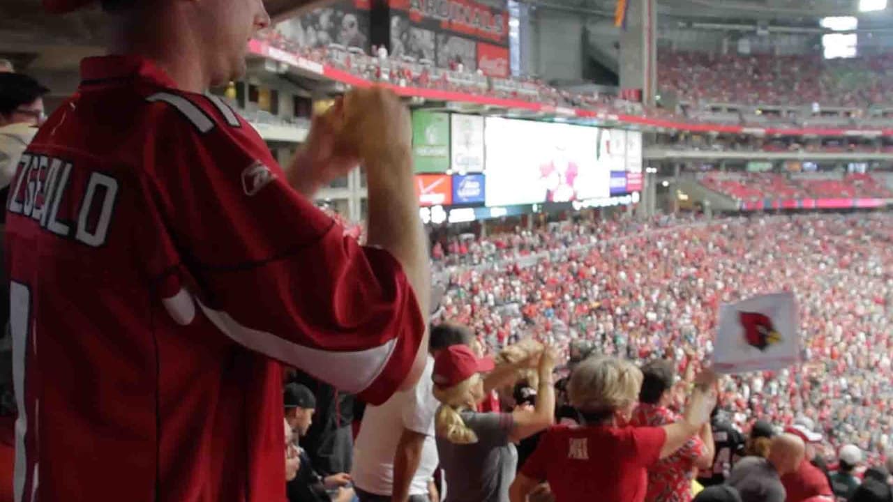 Arizona Cardinals Club Level Experience